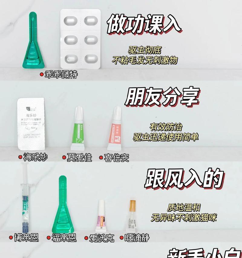 猫咪驱虫时间表（揭秘猫咪驱虫的最佳时机及方法）