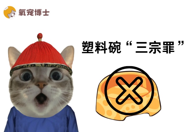 为什么不建议用塑料碗给猫咪喂饭？