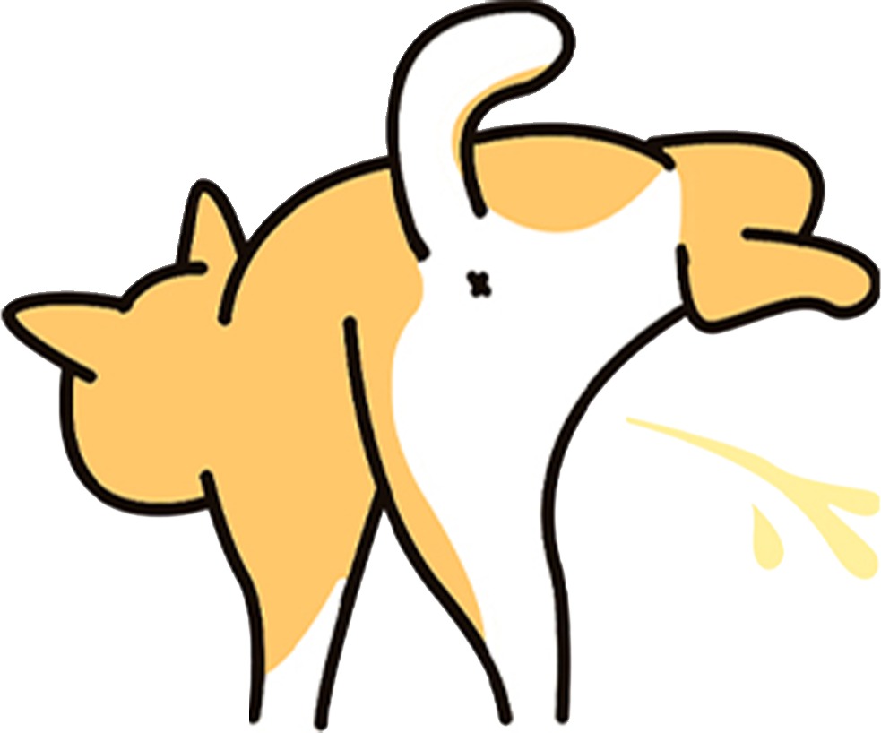 一眼看懂！如何自查刚到家的小狗是否健康？