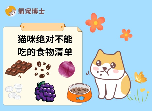 猫咪不能吃的人类食物清单｜养猫饮食禁忌全攻略