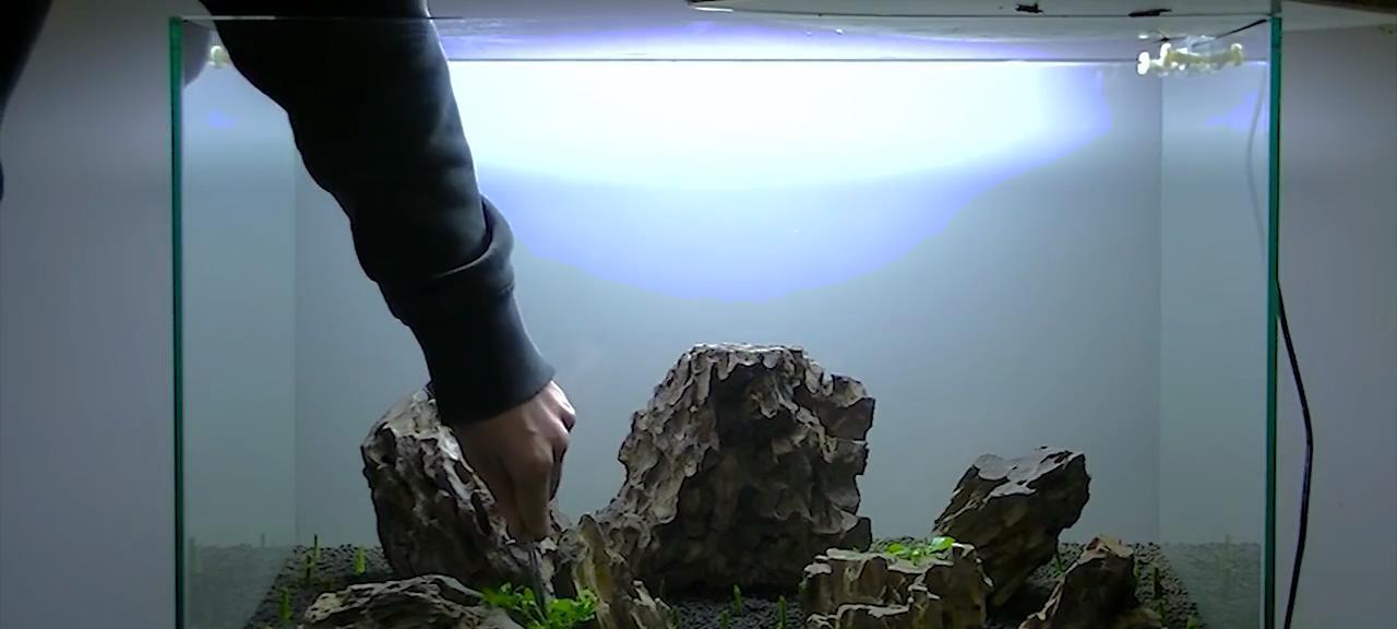 水族箱造景教程（以鱼缸内造景的三种方法及注意事项）
