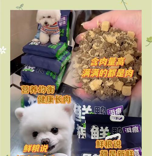 小狗火气大？试试这些食物降火！（为你的小狗选择适合的食物，舒缓体内火气的秘诀）