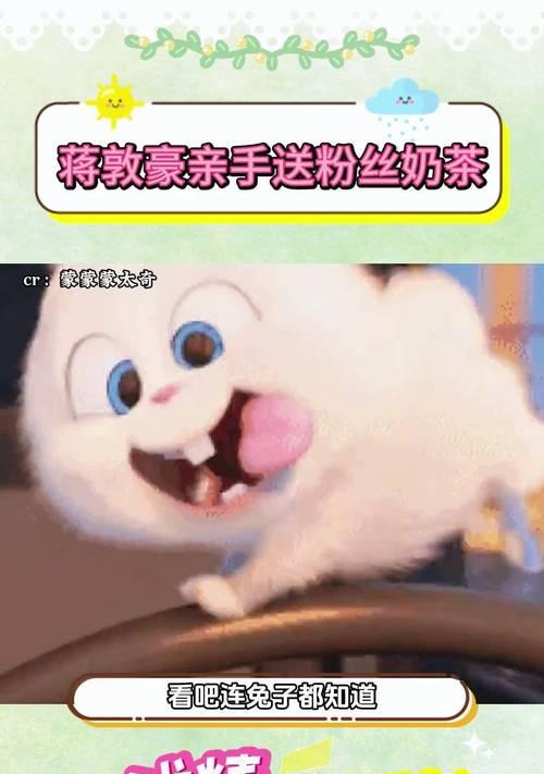 兔子的孕期及繁殖周期（了解兔子孕期长短及如何繁殖）