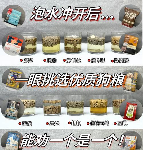 德牧幼犬狗粮泡发技巧与注意事项｜喂养全攻略