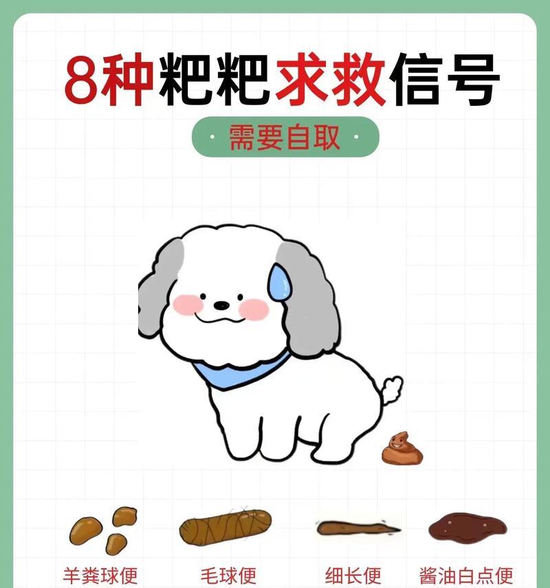 如何处理狗狗吃便便的习惯（探索狗狗吃便便的原因及有效的解决方法）