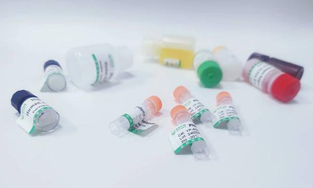 宠物抗体检测的重要性与应用（了解宠物抗体检测的意义和方法，保障宠物健康）