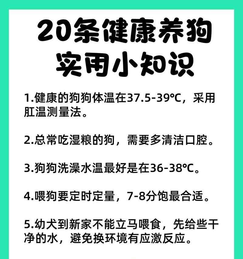 如何处理狗狗吃便便的习惯（探索狗狗吃便便的原因及有效的解决方法）