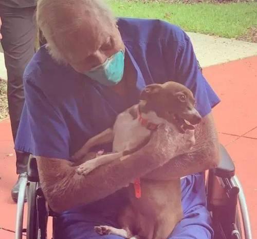 狗中风前的表现及其“早期狗中风症状”（掌握这些早期症状，及早发现和治疗狗中风）