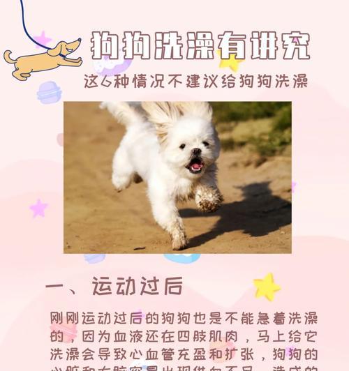 狗狗关节复位后多久能洗澡全攻略