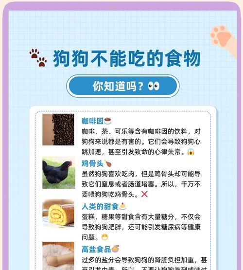 狗狗到陌生环境多久不吃饭全攻略