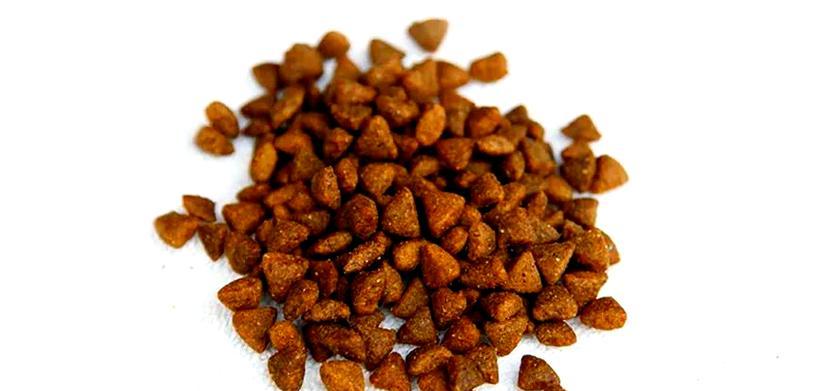 凉水泡狗粮的最佳时间（探究以狗粮用凉水泡多久才能软化的最佳方法）