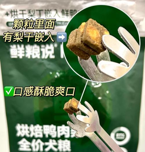 狗粮凉水泡多久最佳方法｜实用指南