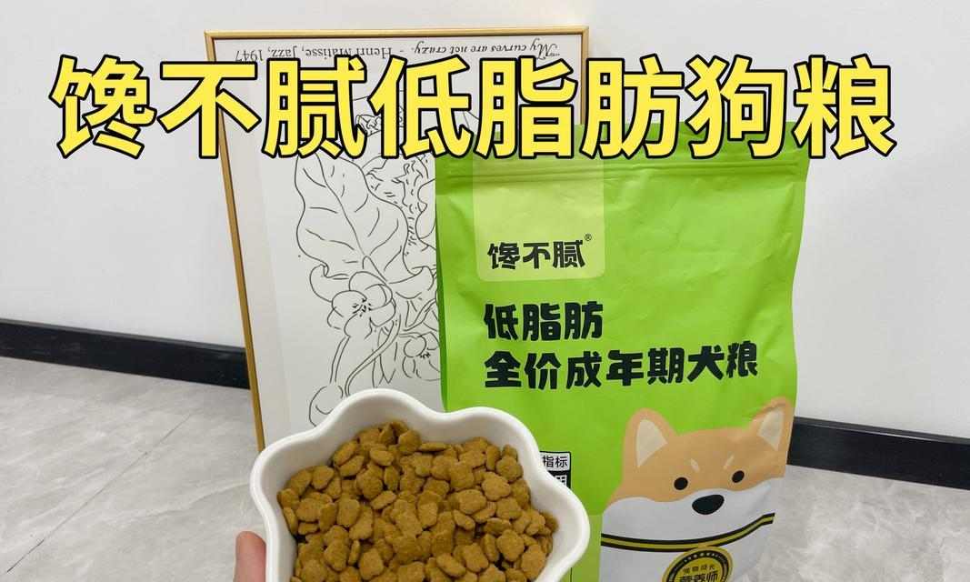 狗狗的饮食选择（探讨狗狗饮食的最佳选择，米饭与狗粮）