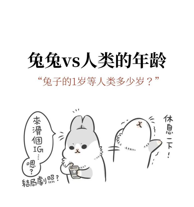 兔年养兔必看（了解兔兔行为，做个贴心养主！）