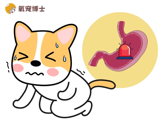 狗狗急性胃扭转