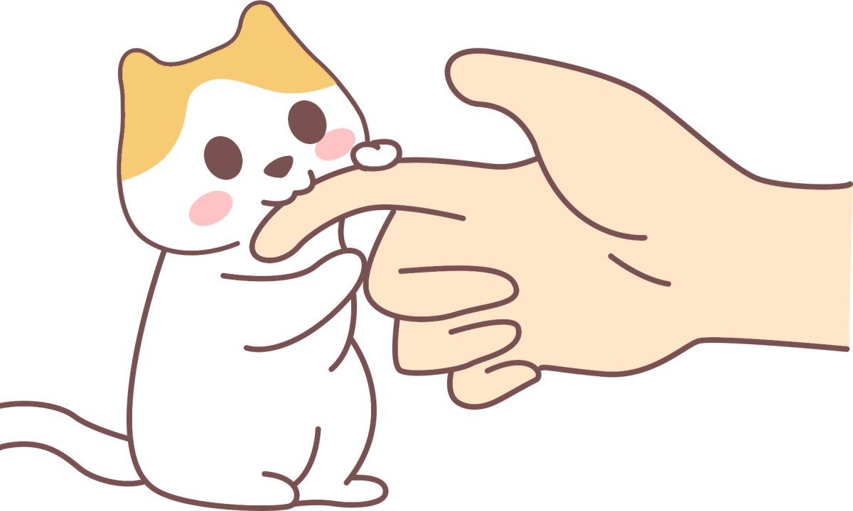 猫咪爱咬手怎么办？