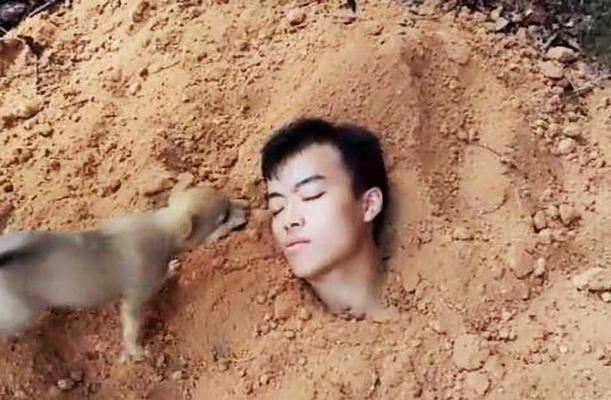 狗狗埋在土里多久会腐烂？（探究狗狗腐烂速度的关键因素）