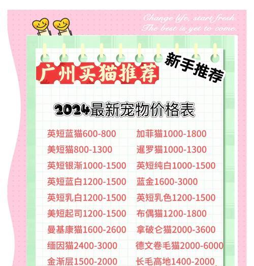 养猫知多少？猫咪花销揭秘（探秘养猫每月花费，了解猫咪的生活开销）