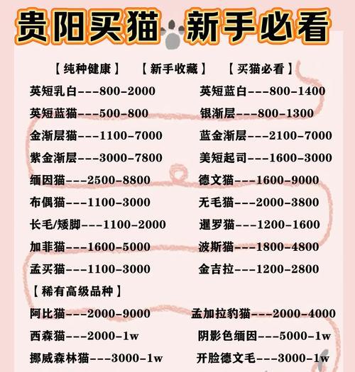 养猫成本全解析｜猫咪日常开销指南