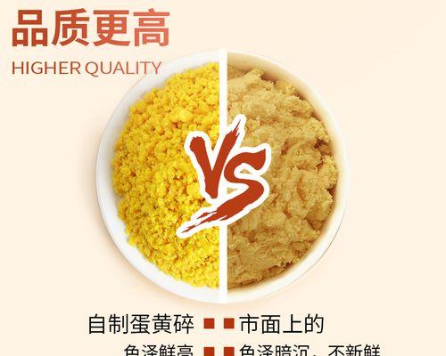 小泰迪蛋黄喂食频率的合理规划（了解小泰迪喂食蛋黄的最佳时间间隔）