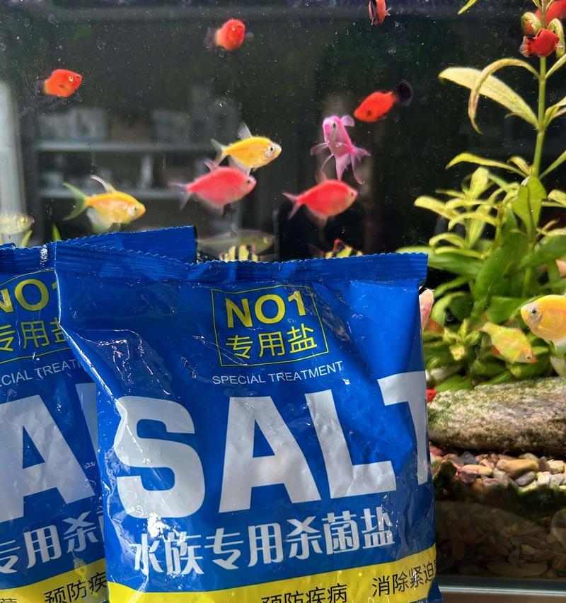 养锦鲤要注意的盐和药的使用时机（养鲤养得好，水质药浴要到位）