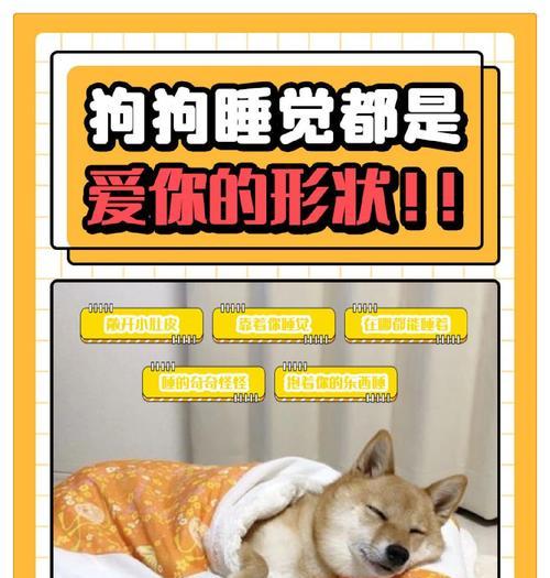 狗狗需要多长时间才能入睡？（睡眠习惯、环境因素和训练方式的影响）