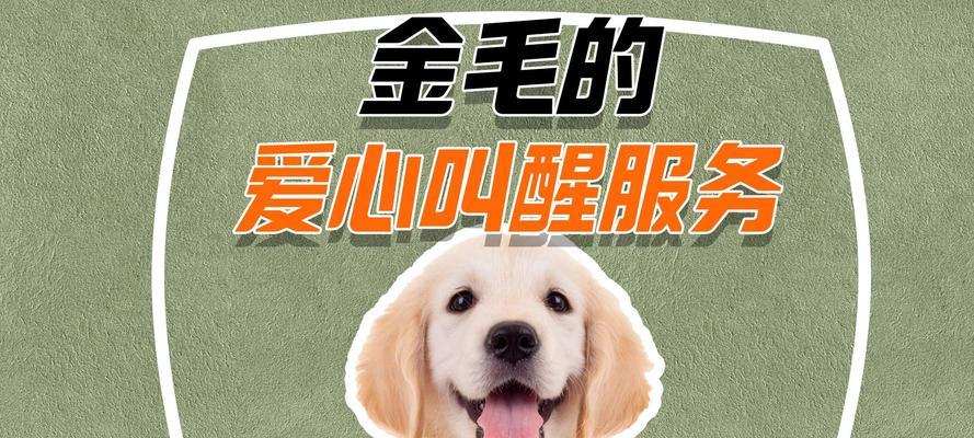 金毛狗舒适吹空调的时间和方法（了解金毛狗对空调的适应能力以及正确使用方法）