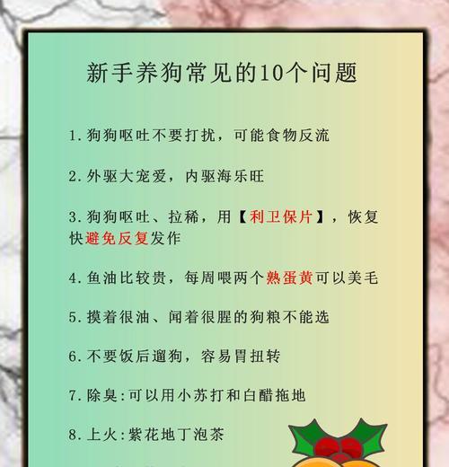 狗狗又腹泻了怎么办？（了解腹泻的原因及简单应对方法）