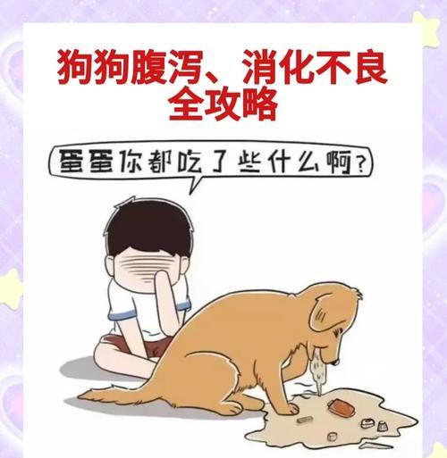 狗狗又腹泻了怎么办？（了解腹泻的原因及简单应对方法）