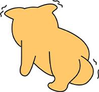 小狗到家一直发抖是怎么回事？