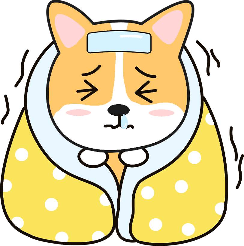 小狗到家一直发抖是怎么回事？