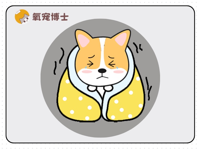 小狗到家一直发抖是怎么回事？