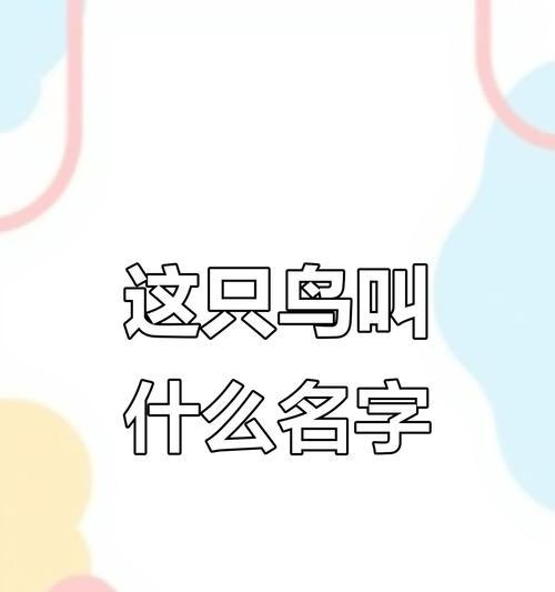 鸟类之美——探索多样化的鸟儿名称与特征（从“鸟儿”到“百灵鸟”）