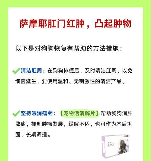 萨摩耶拉稀的处理方式及原因解析（了解萨摩耶拉稀的症状和处理方法，让您的宠物健康幸福）