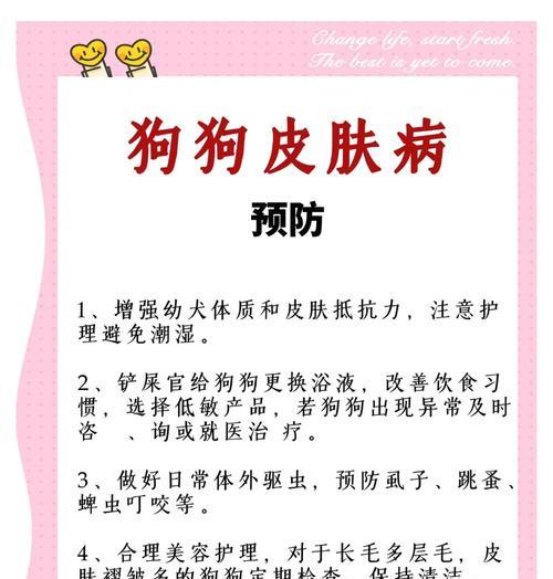 狗狗皮肤过敏全攻略