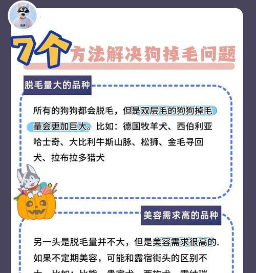 哈士奇夏季脱毛时间及原因解析（探秘哈士奇为何在夏季频繁脱毛）