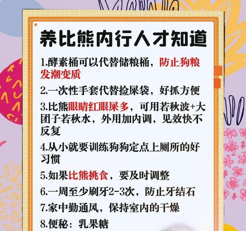 比熊犬驱虫频率及注意事项（保护宠物健康，正确掌握比熊犬驱虫的时间和方式）