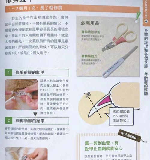 断血线后多久能够痊愈？（探讨人体断血线的恢复时间和关键因素）