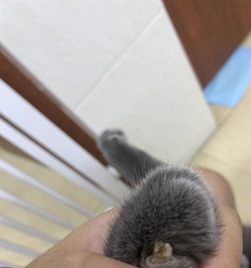 断血线后多久能够痊愈？（探讨人体断血线的恢复时间和关键因素）