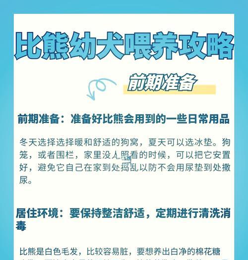 比熊犬驱虫频率及注意事项全攻略