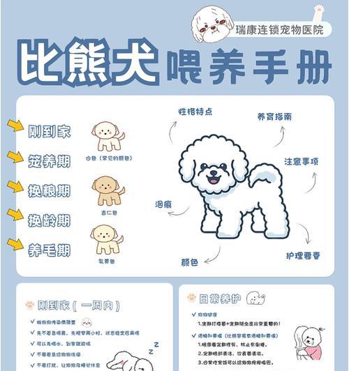 比熊犬驱虫频率及注意事项（保护宠物健康，正确掌握比熊犬驱虫的时间和方式）