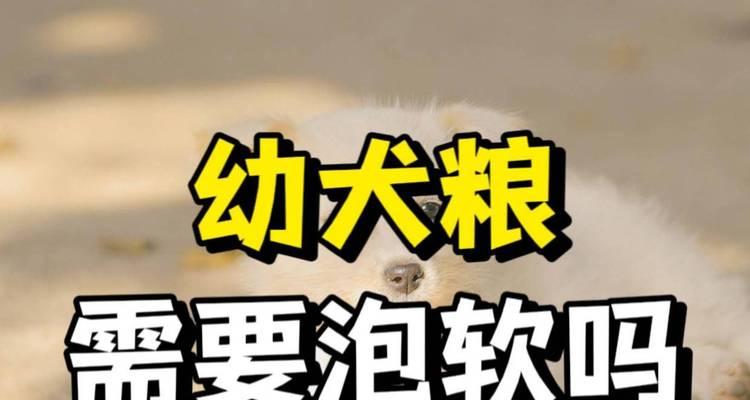 幼犬饲养指南（养宠小白必读，幼犬的饮食需求从“泡”开始！）