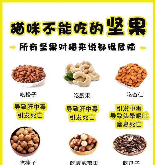 猫咪的饮食禁忌与药品安全（探讨猫咪可食用的人类食物及不能食用的药品，）