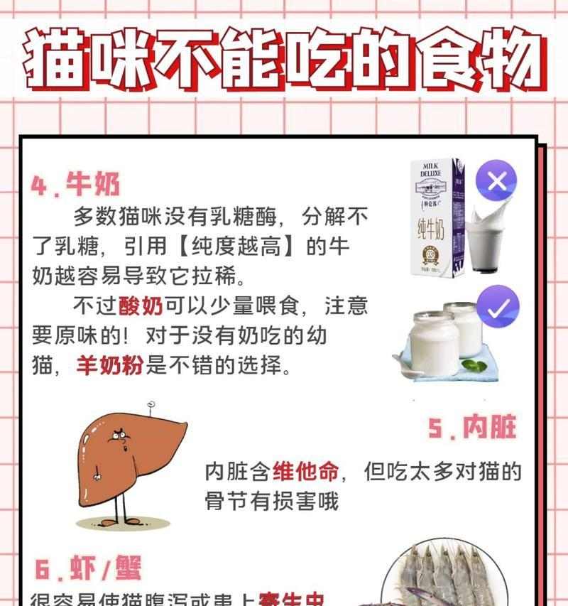 猫咪的饮食禁忌与药品安全（探讨猫咪可食用的人类食物及不能食用的药品，）