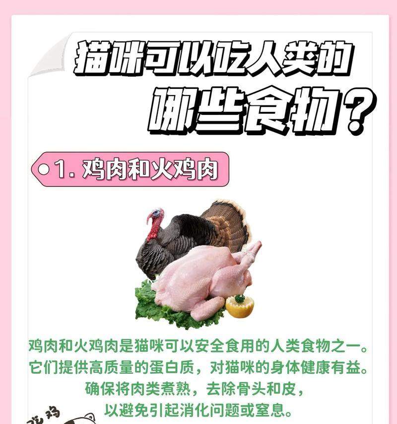 猫咪饮食禁忌与药品安全全攻略