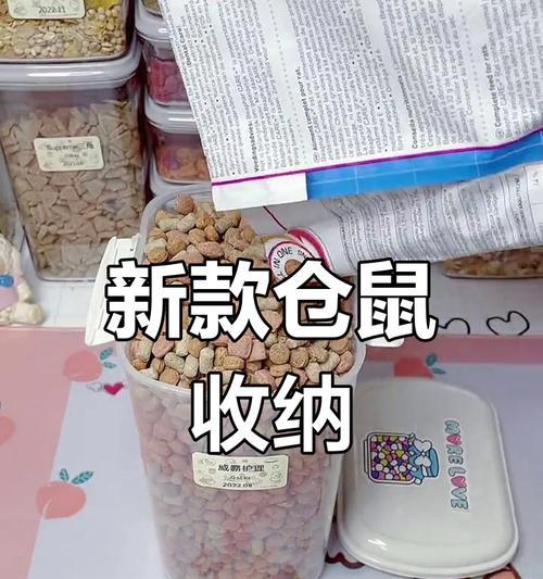 养仓鼠必备的物品及注意事项（打造舒适的鼠室，宠爱你的小宠物）