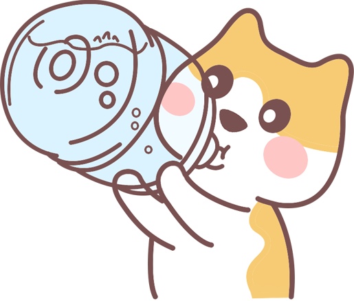 猫咪肾脏不好的早期信号