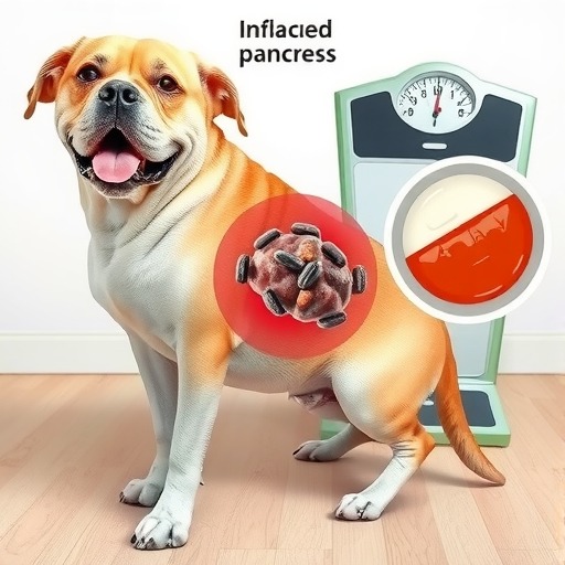 狗狗胰腺炎是怎么引起的？