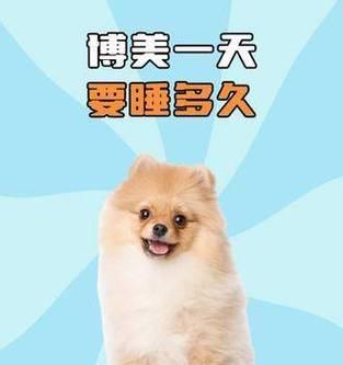 宠物狗一天应该睡多久？（狗狗的合适睡眠时长和重要性）
