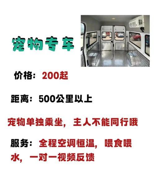 宠物托运手续一览（了解宠物托运手续，确保安全快捷）